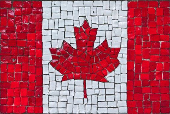 Трудоустройство выпускников