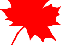 Как получить канадскую студенческую визу