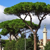 Стажировка в Испании